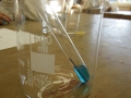Partnership Day mit SANDOZ4