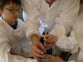 Partnership Day mit SANDOZ5