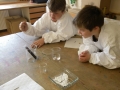 Partnership Day mit SANDOZ7