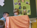 SS2014 Referat Geckos