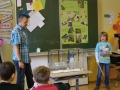 SS2014 Referat Geckos3
