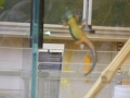 SS2014 Referat Geckos6