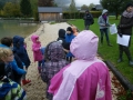 Wasserleben3