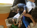 SS2014 Zeitung lesen3